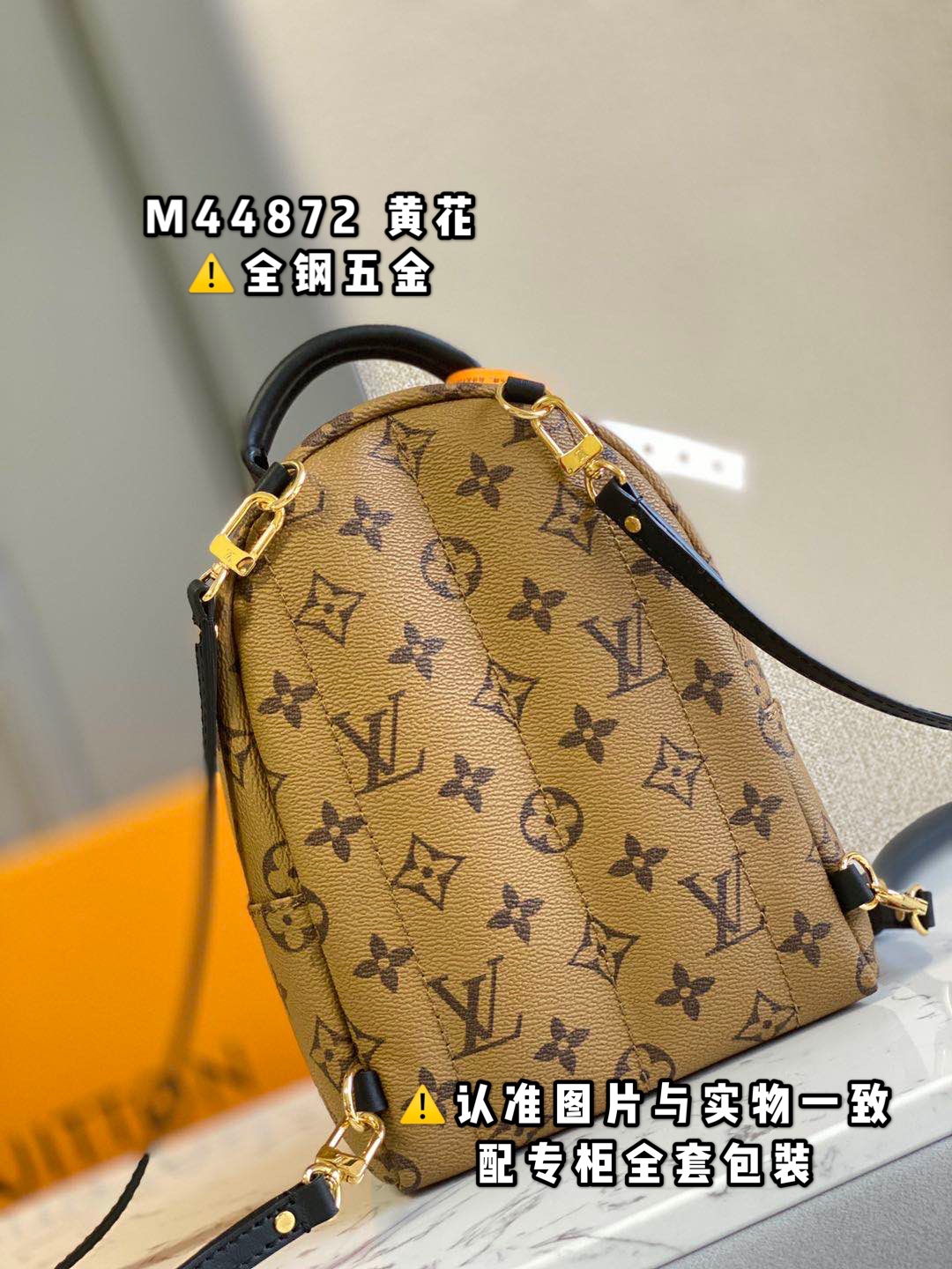 LV Backpacks